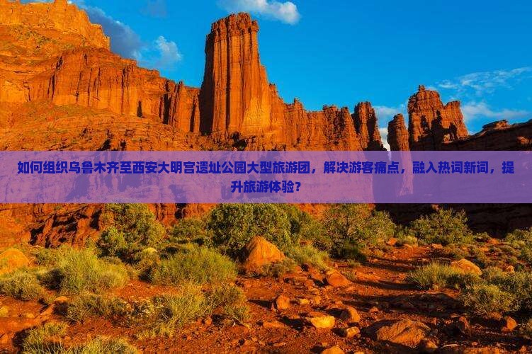 如何组织乌鲁木齐至西安大明宫遗址公园大型旅游团，解决游客痛点，融入热词新词，提升旅游体验？