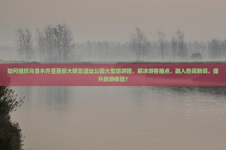 如何组织乌鲁木齐至西安大明宫遗址公园大型旅游团，解决游客痛点，融入热词新词，提升旅游体验？