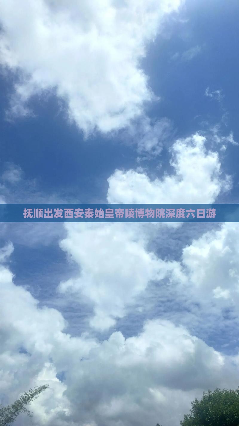 抚顺出发西安秦始皇帝陵博物院深度六日游