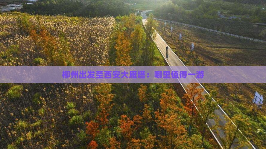 柳州出发至西安大雁塔：哪里值得一游