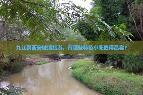 九江到西安城墙旅游，有哪些特色小吃值得品尝？