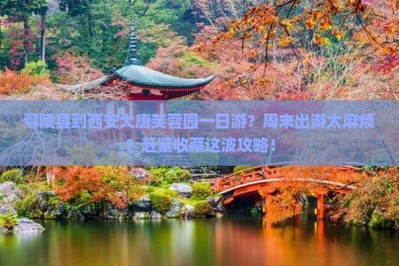 鄢陵县到西安大唐芙蓉园一日游？周末出游太麻烦？赶紧收藏这波攻略！
