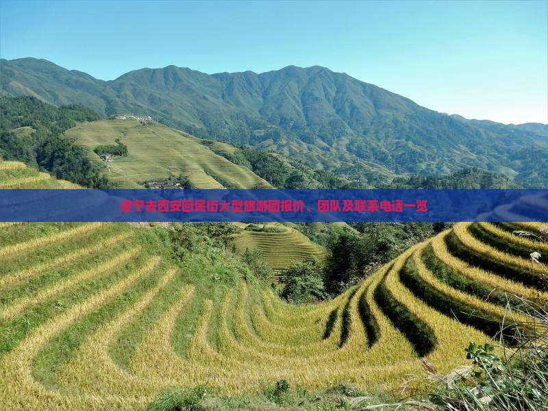 遂宁去西安回民街大型旅游团报价、团队及联系电话一览