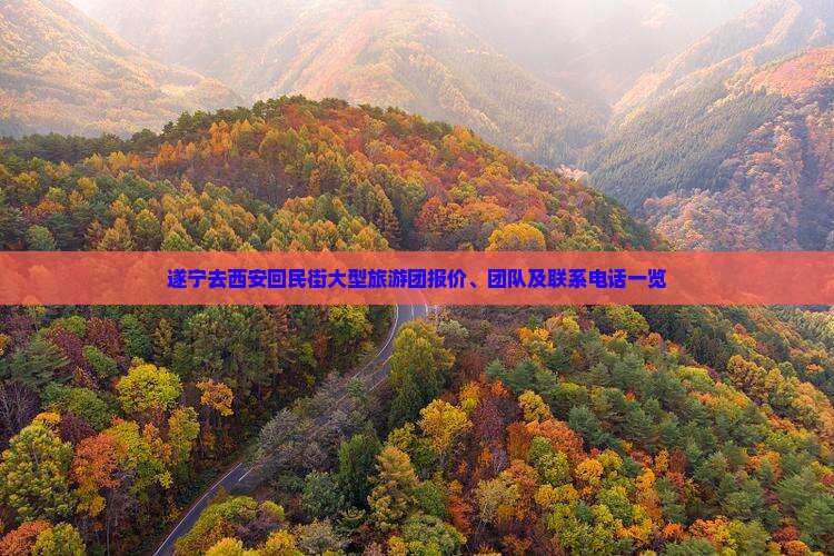 遂宁去西安回民街大型旅游团报价、团队及联系电话一览
