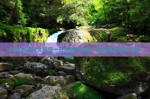 楚雄到西安大雁塔一日游旅游攻略，探访西安雁塔之旅