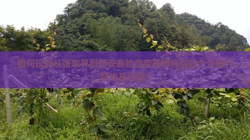 如何规划从张家界到西安秦始皇帝陵博物院的个人旅行路线及行程？