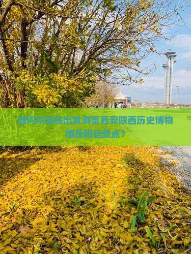 如何从仙桃出发游览西安陕西历史博物馆及附近景点？