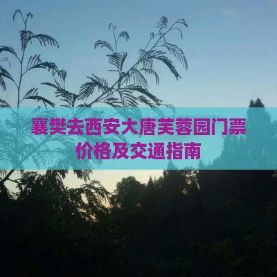 襄樊去西安大唐芙蓉园门票价格及交通指南