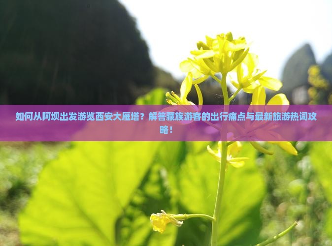 如何从阿坝出发游览西安大雁塔？解答藏族游客的出行痛点与最新旅游热词攻略！