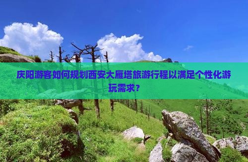 庆阳游客如何规划西安大雁塔旅游行程以满足个性化游玩需求？