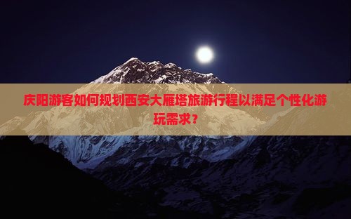 庆阳游客如何规划西安大雁塔旅游行程以满足个性化游玩需求？
