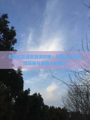 东营出发西安旅游攻略：陕西历史博物馆探秘与当地小吃体验