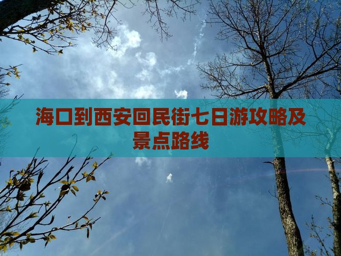 海口到西安回民街七日游攻略及景点路线