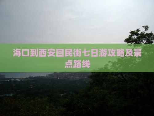 海口到西安回民街七日游攻略及景点路线