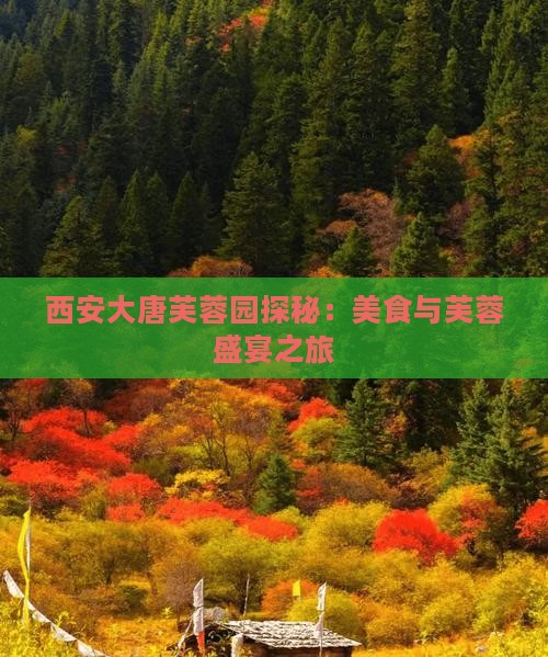 西安大唐芙蓉园探秘：美食与芙蓉盛宴之旅