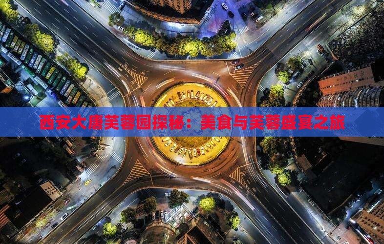西安大唐芙蓉园探秘：美食与芙蓉盛宴之旅