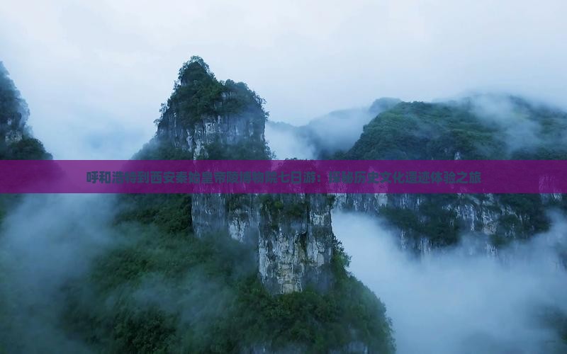呼和浩特到西安秦始皇帝陵博物院七日游：探秘历史文化遗迹体验之旅
