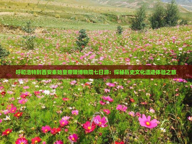 呼和浩特到西安秦始皇帝陵博物院七日游：探秘历史文化遗迹体验之旅