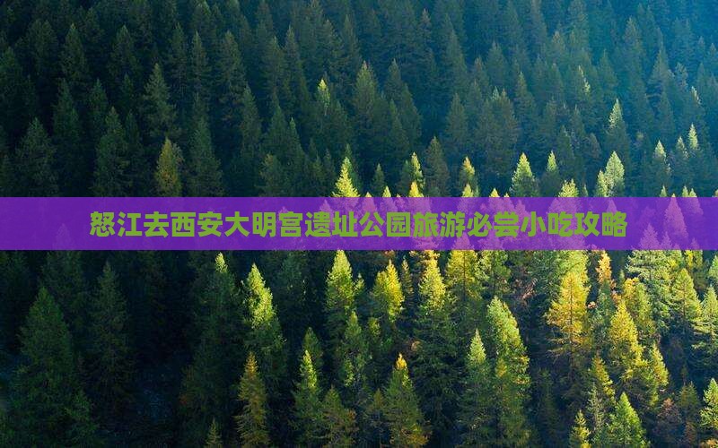 怒江去西安大明宫遗址公园旅游必尝小吃攻略