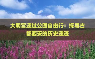 大明宫遗址公园自由行：探寻古都西安的历史遗迹
