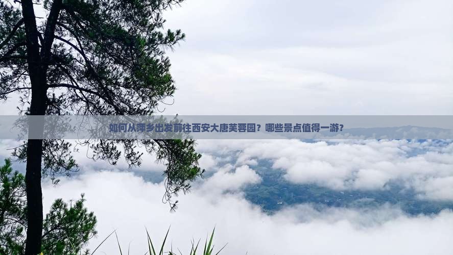 如何从萍乡出发前往西安大唐芙蓉园？哪些景点值得一游？