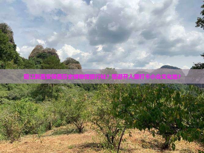 阳江到西安陕西历史博物馆旅行社？想避开人潮打卡小众文化地？