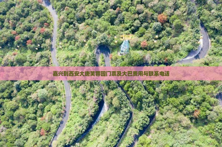 嘉兴到西安大唐芙蓉园门票及大巴费用与联系电话