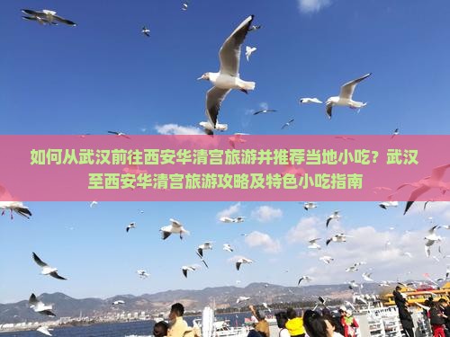 如何从武汉前往西安华清宫旅游并推荐当地小吃？武汉至西安华清宫旅游攻略及特色小吃指南