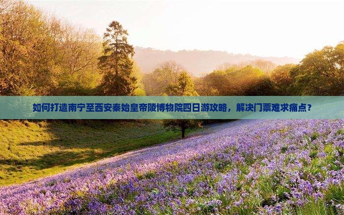 如何打造南宁至西安秦始皇帝陵博物院四日游攻略，解决门票难求痛点？