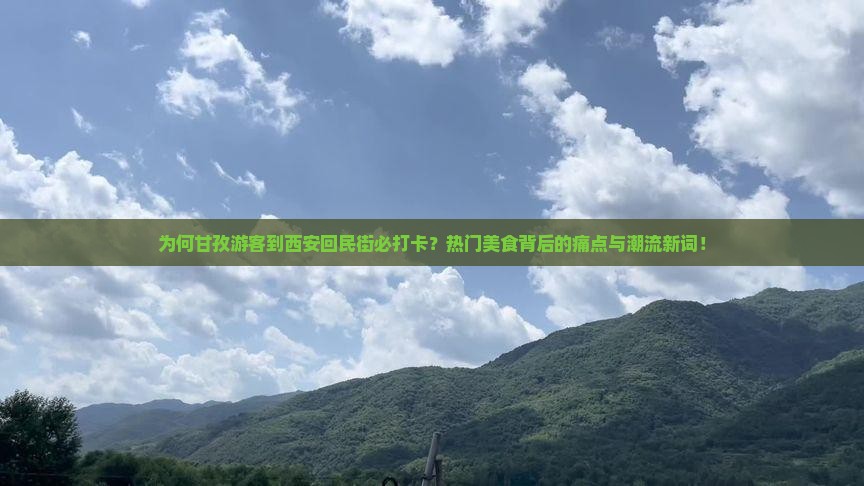 为何甘孜游客到西安回民街必打卡？热门美食背后的痛点与潮流新词！