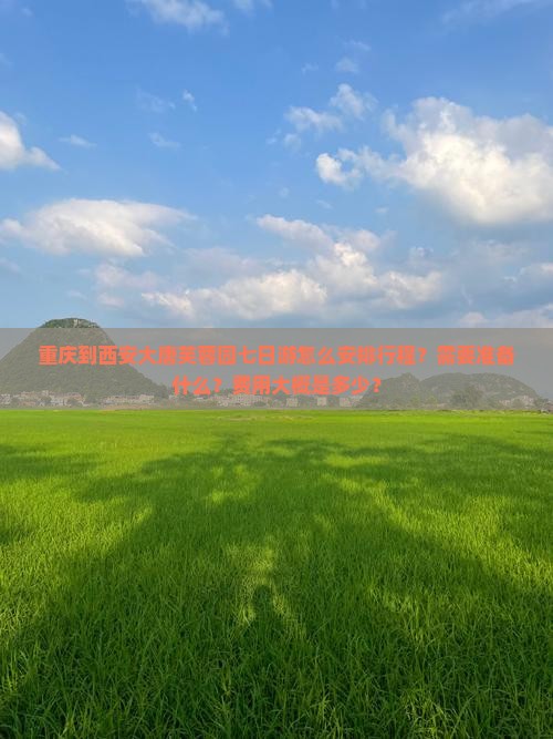 重庆到西安大唐芙蓉园七日游怎么安排行程？需要准备什么？费用大概是多少？
