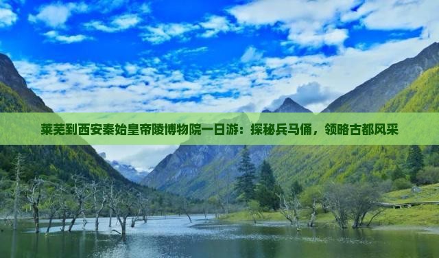 莱芜到西安秦始皇帝陵博物院一日游：探秘兵马俑，领略古都风采