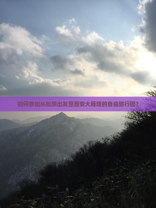 如何参加从松原出发至西安大雁塔的自由旅行团？