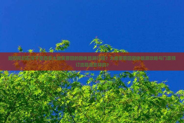 如何规划石河子至西安大唐芙蓉园的团体旅游行程？大唐芙蓉园团体旅游攻略与门票预订流程是怎样的？
