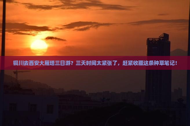 铜川去西安大雁塔三日游？三天时间太紧张了，赶紧收藏这条种草笔记！