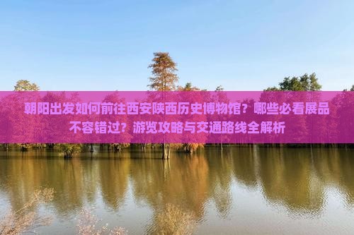 朝阳出发如何前往西安陕西历史博物馆？哪些必看展品不容错过？游览攻略与交通路线全解析