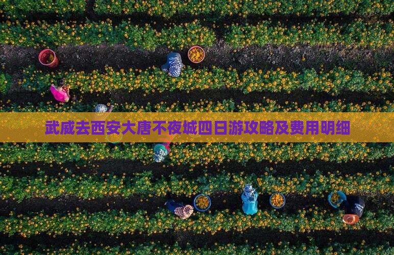 武威去西安大唐不夜城四日游攻略及费用明细