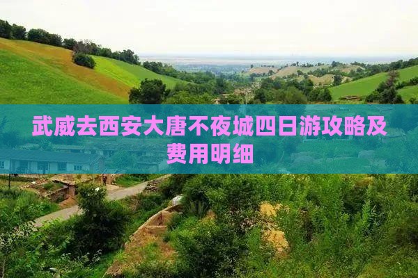 武威去西安大唐不夜城四日游攻略及费用明细