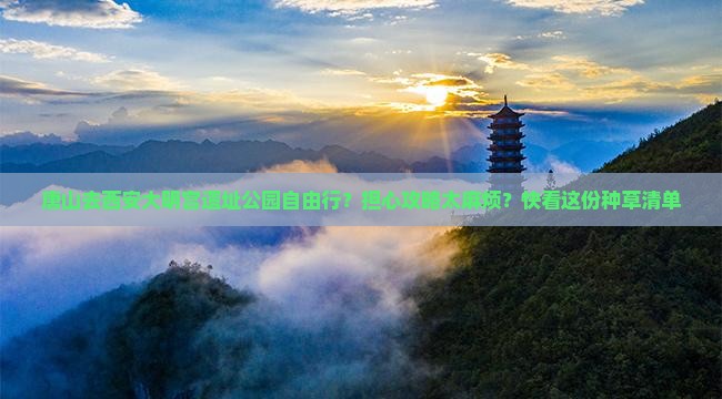 唐山去西安大明宫遗址公园自由行？担心攻略太麻烦？快看这份种草清单