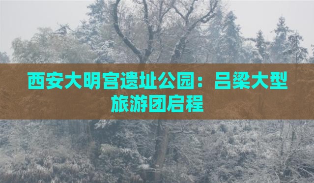 西安大明宫遗址公园：吕梁大型旅游团启程