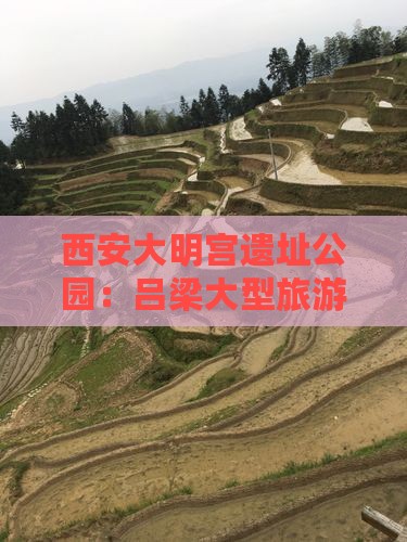 西安大明宫遗址公园：吕梁大型旅游团启程