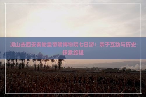 凉山去西安秦始皇帝陵博物院七日游：亲子互动与历史探索旅程
