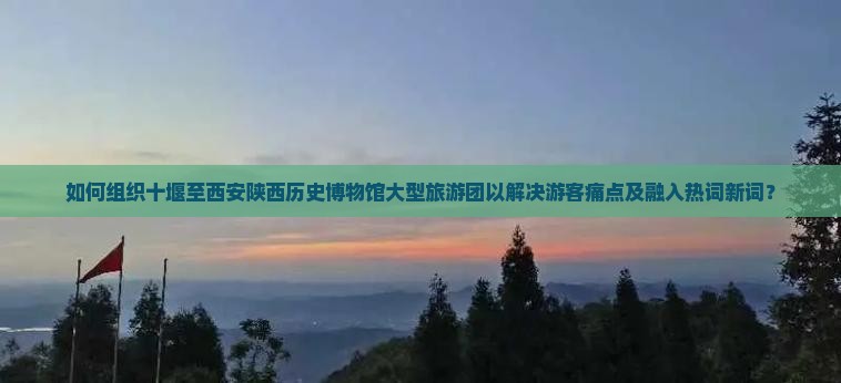 如何组织十堰至西安陕西历史博物馆大型旅游团以解决游客痛点及融入热词新词？