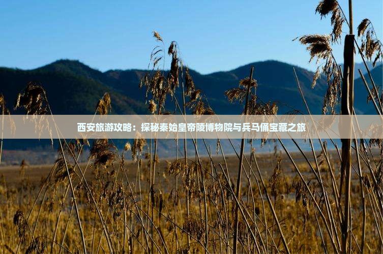 西安旅游攻略：探秘秦始皇帝陵博物院与兵马俑宝藏之旅
