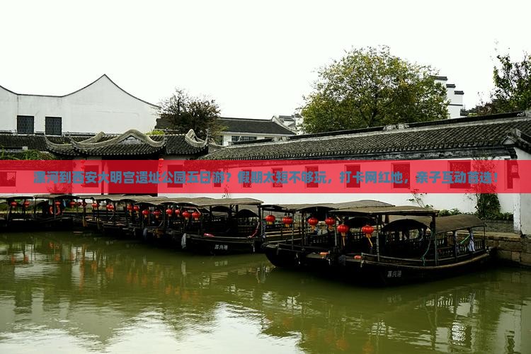 漯河到西安大明宫遗址公园五日游？假期太短不够玩，打卡网红地，亲子互动首选！