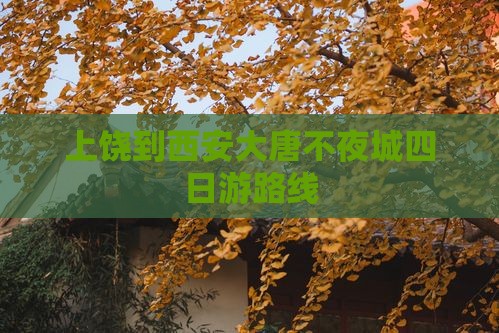 上饶到西安大唐不夜城四日游路线