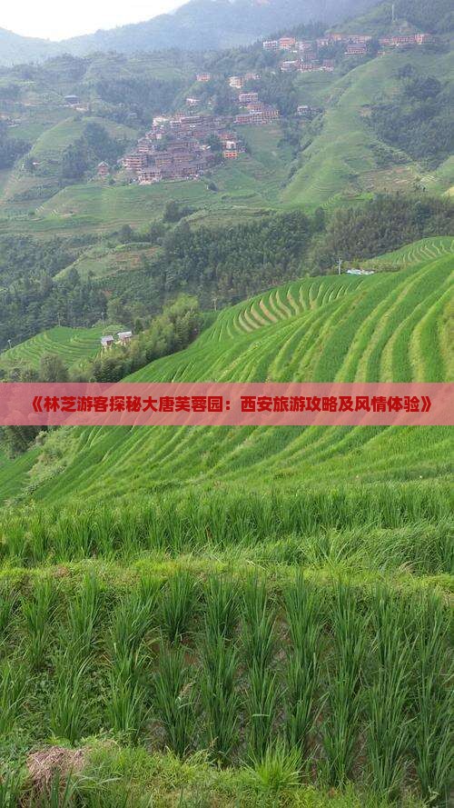 《林芝游客探秘大唐芙蓉园：西安旅游攻略及风情体验》