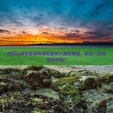 如何从阿克苏高效游览西安大唐芙蓉园，实现一日游痛点攻略？