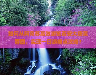 如何从阿克苏高效游览西安大唐芙蓉园，实现一日游痛点攻略？