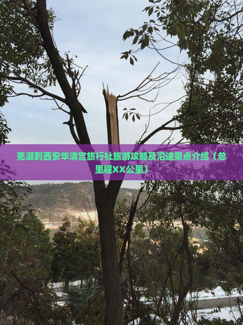 芜湖到西安华清宫旅行社旅游攻略及沿途景点介绍（总里程XX公里）